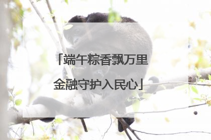 端午粽香飘万里 金融守护入民心
