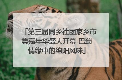 第三届同乡社团家乡市集嘉年华盛大开幕 巴蜀情缘中的绵阳风味