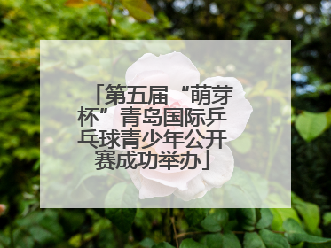 第五届“萌芽杯”青岛国际乒乓球青少年公开赛成功举办