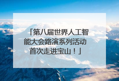 第八届世界人工智能大会路演系列活动首次走进宝山！