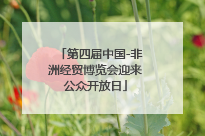 第四届中国-非洲经贸博览会迎来公众开放日