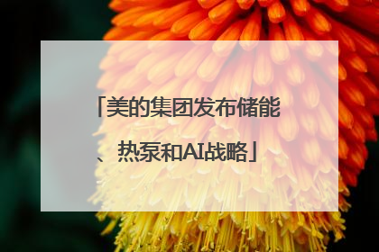 美的集团发布储能、热泵和AI战略