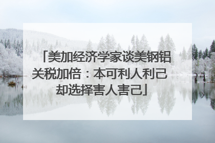 美加经济学家谈美钢铝关税加倍：本可利人利己 却选择害人害己