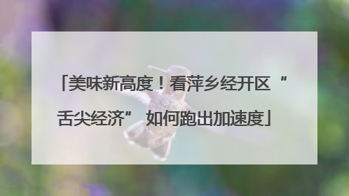 美味新高度！看萍乡经开区“舌尖经济” 如何跑出加速度