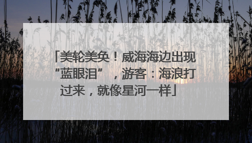 美轮美奂！威海海边出现“蓝眼泪”，游客：海浪打过来，就像星河一样