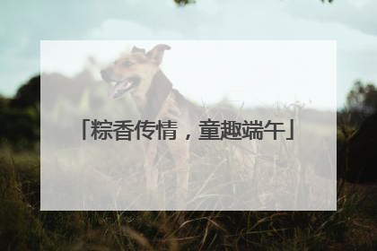 粽香传情，童趣端午
