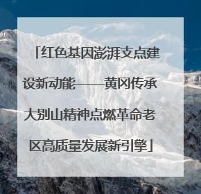 红色基因澎湃支点建设新动能——黄冈传承大别山精神点燃革命老区高质量发展新引擎