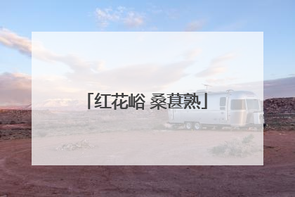 红花峪 桑葚熟