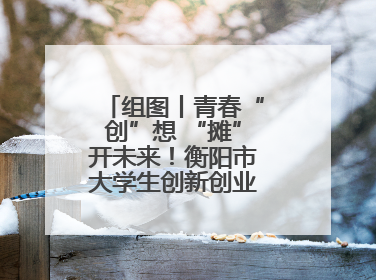 组图丨青春“创”想 “摊”开未来！衡阳市大学生创新创业集市火热开市