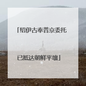绍伊古奉普京委托已抵达朝鲜平壤