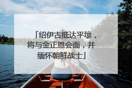 绍伊古抵达平壤，将与金正恩会面，并缅怀朝鲜战士