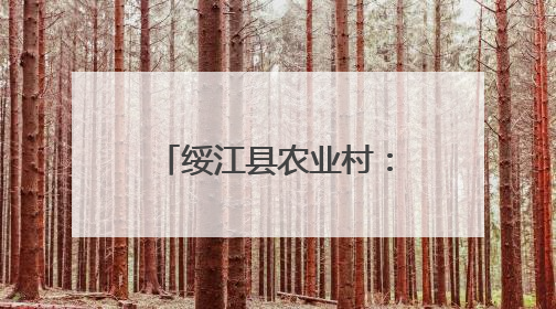 绥江县农业村：女子调解队真情搭起“连心桥”