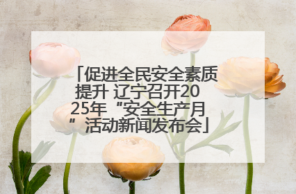 促进全民安全素质提升 辽宁召开2025年“安全生产月”活动新闻发布会