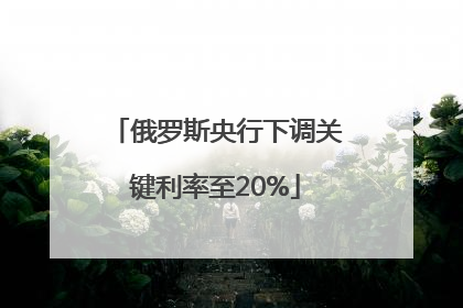 俄罗斯央行下调关键利率至20%