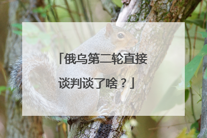 俄乌第二轮直接谈判谈了啥？
