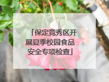 保定竞秀区开展夏季校园食品安全专项检查