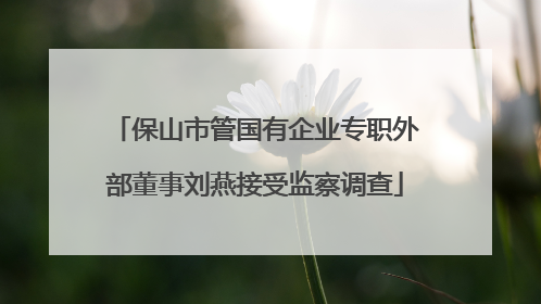 保山市管国有企业专职外部董事刘燕接受监察调查