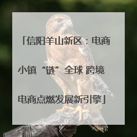信阳羊山新区：电商小镇“链”全球 跨境电商点燃发展新引擎