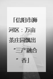 信阳市浉河区：万亩茶庄园飘出“三产融合”香
