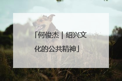 何俊杰｜绍兴文化的公共精神