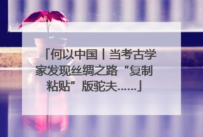 何以中国丨当考古学家发现丝绸之路“复制粘贴”版驼夫……