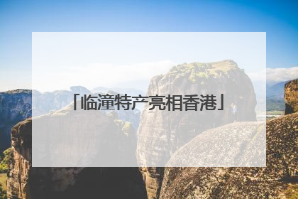 临潼特产亮相香港