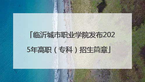 临沂城市职业学院发布2025年高职（专科）招生简章