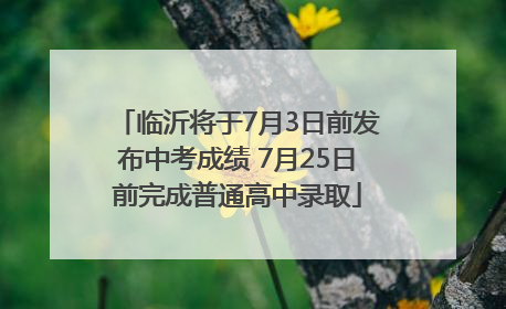 临沂将于7月3日前发布中考成绩 7月25日前完成普通高中录取