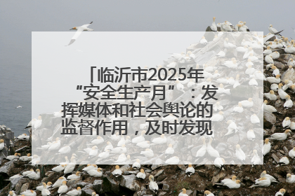 临沂市2025年“安全生产月”：发挥媒体和社会舆论的监督作用，及时发现并消除安全隐患