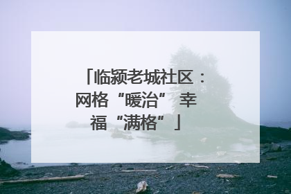 临颍老城社区：网格“暖治” 幸福“满格”