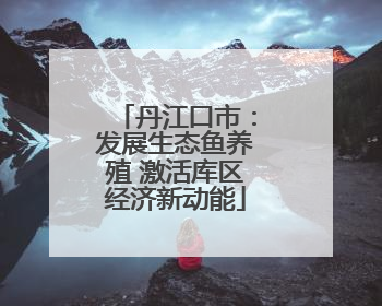 丹江口市：发展生态鱼养殖 激活库区经济新动能