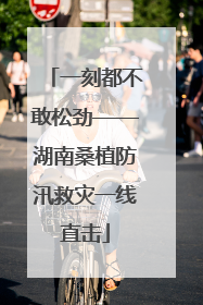 一刻都不敢松劲——湖南桑植防汛救灾一线直击