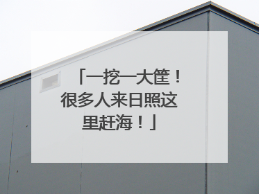 一挖一大筐！很多人来日照这里赶海！