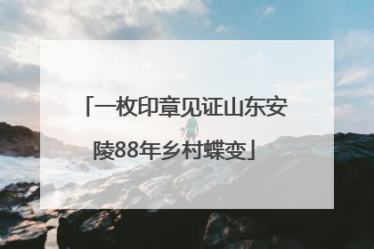 一枚印章见证山东安陵88年乡村蝶变
