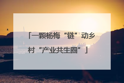一颗杨梅“链”动乡村“产业共生圈”