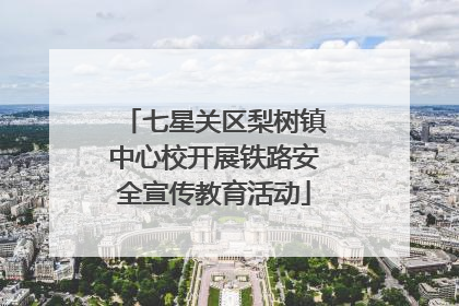 七星关区梨树镇中心校开展铁路安全宣传教育活动