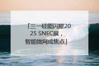 三一硅能闪耀2025 SNEC展，智能微网成焦点