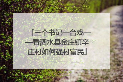 三个书记一台戏——看泗水县金庄镇辛庄村如何强村富民