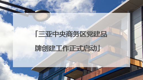 三亚中央商务区党建品牌创建工作正式启动