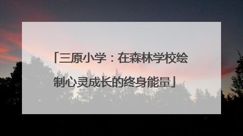 三原小学：在森林学校绘制心灵成长的终身能量