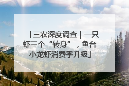 三农深度调查｜一只虾三个“转身”，鱼台小龙虾消费季升级