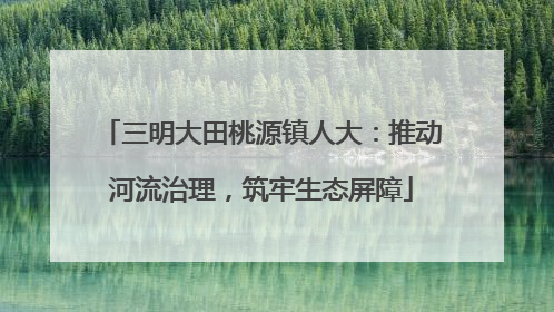 三明大田桃源镇人大：推动河流治理，筑牢生态屏障