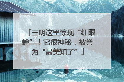 三明这里惊现“红眼蝉”！它很神秘，被誉为“最美知了”