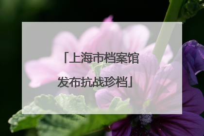 上海市档案馆发布抗战珍档