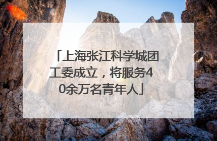 上海张江科学城团工委成立，将服务40余万名青年人