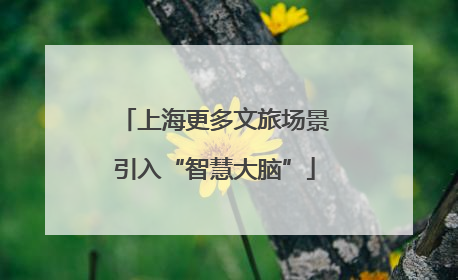 上海更多文旅场景引入“智慧大脑”
