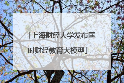 上海财经大学发布匡时财经教育大模型