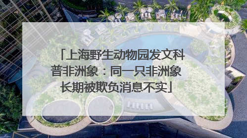 上海野生动物园发文科普非洲象：同一只非洲象长期被欺负消息不实