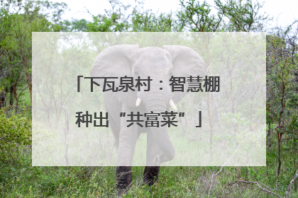 下瓦泉村：智慧棚种出“共富菜”