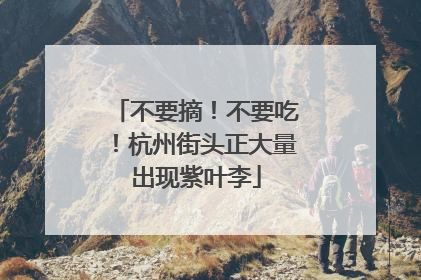 不要摘!不要吃!杭州街头正大量出现紫叶李